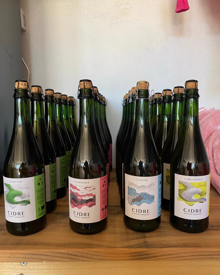 Des bouteilles de cidre fermier aux étiquettes colorées, alignées sur le comptoir en bois de la boutique
