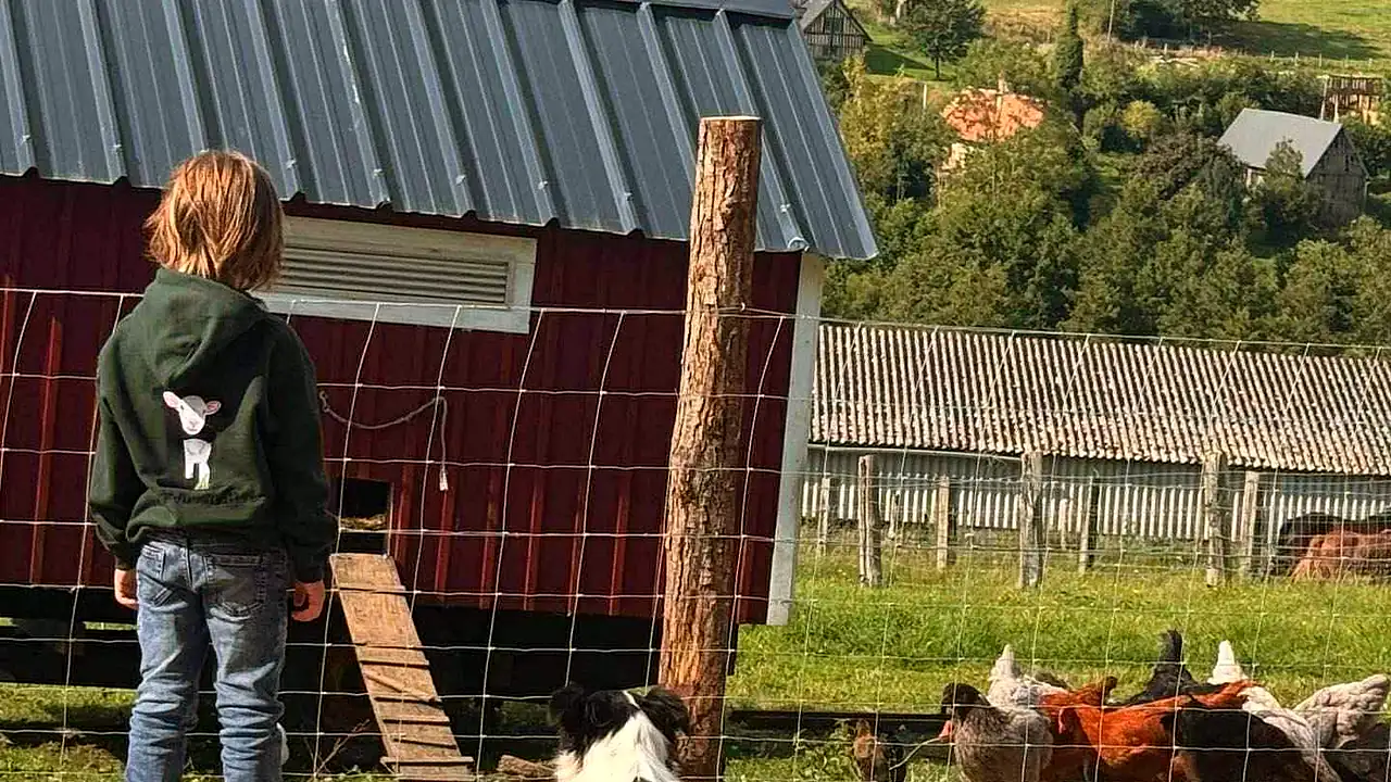 Un enfant devant le poulailler rouge de la ferme, les poules et la chienne Meg autour de lui