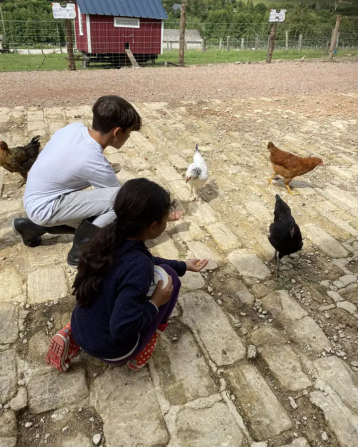 Deux enfants accroupis donnent du maïs aux poules sur les pavés de la cour de la ferme