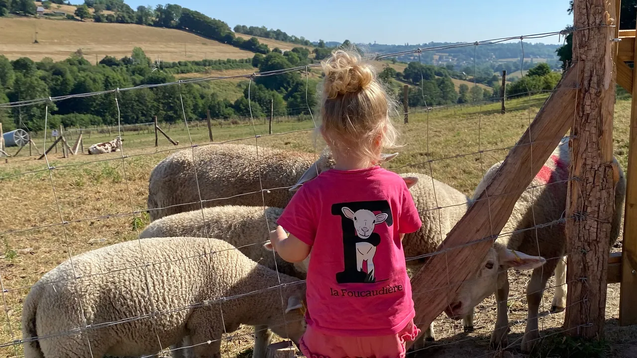 Une élève en tee-shirt de la Foucaudière face aux brebis du parcours, les collines du Pays d'Auge au fond